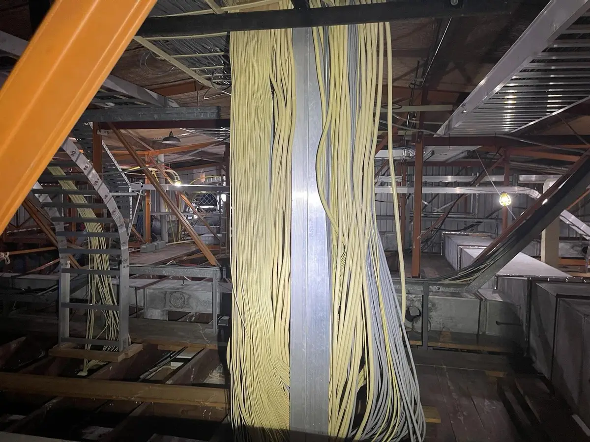 Cable bundles in the ceiling void during asbestos removal