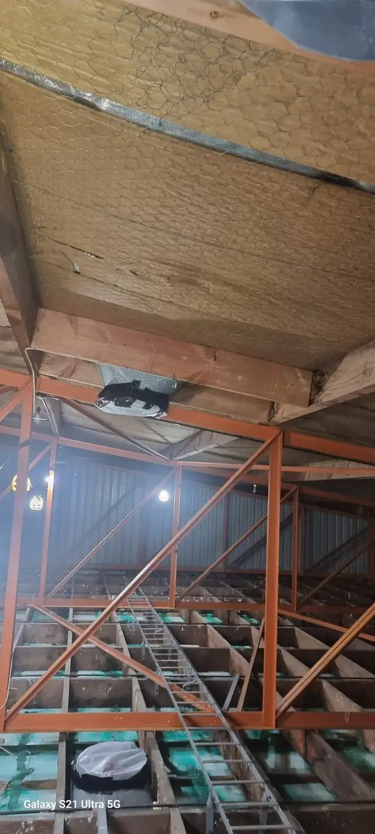 Ceiling void with steel beams and timber joists during asbestos removal