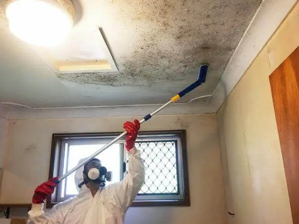 SES painter finishing a commercial window frame