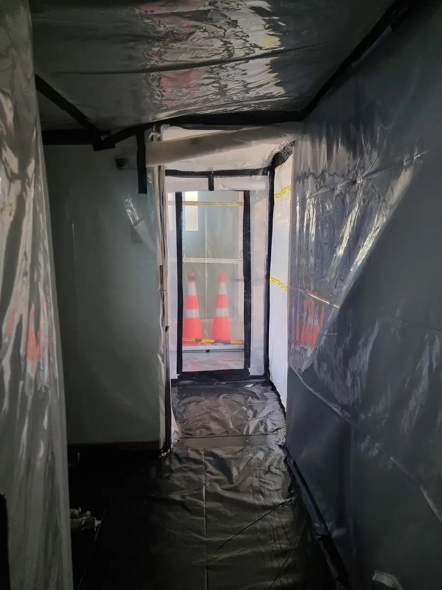Enclosure exit with cones at the end of the poly tunnel