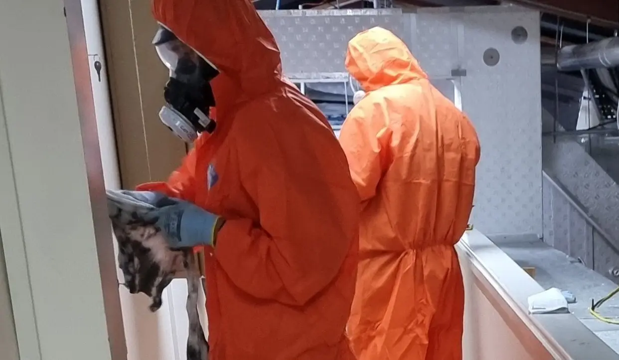 Two SES operatives in orange PPE and respirators in the ceiling space